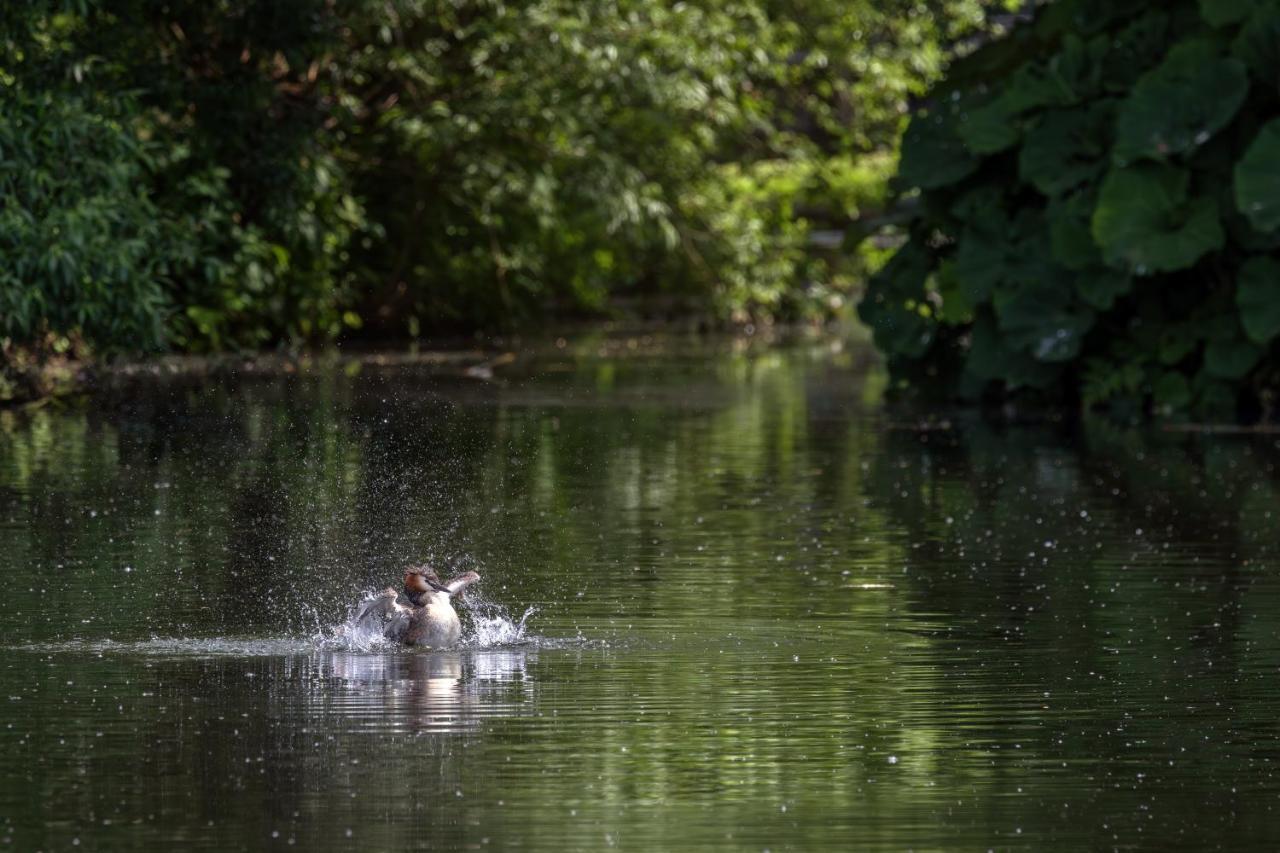 Peulenstraat 224 Lägenhet Hardinxveld-Giessendam Exteriör bild